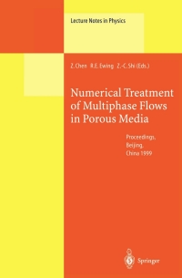 Cover image: Numerical Treatment of Multiphase Flows in Porous Media 1st edition 9783540675662