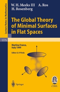Cover image: The Global Theory of Minimal Surfaces in Flat Spaces 9783540431206