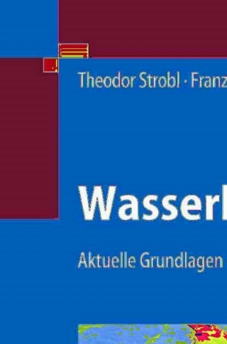 Cover image: Wasserbau 9783540223009