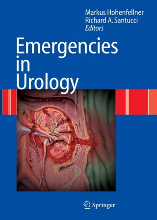 Cover image: Emergencies in Urology 9783642080197