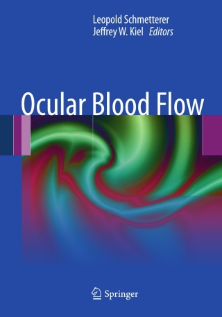 Cover image: Ocular Blood Flow 9783540694687