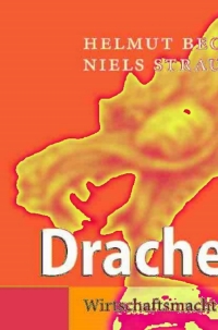 Titelbild: Drachenflug 9783540711704