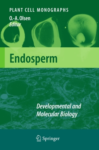 Cover image: Endosperm 1st edition 9783540712343