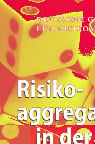 Imagen de portada: Risikoaggregation in der Praxis 1st edition 9783540732495