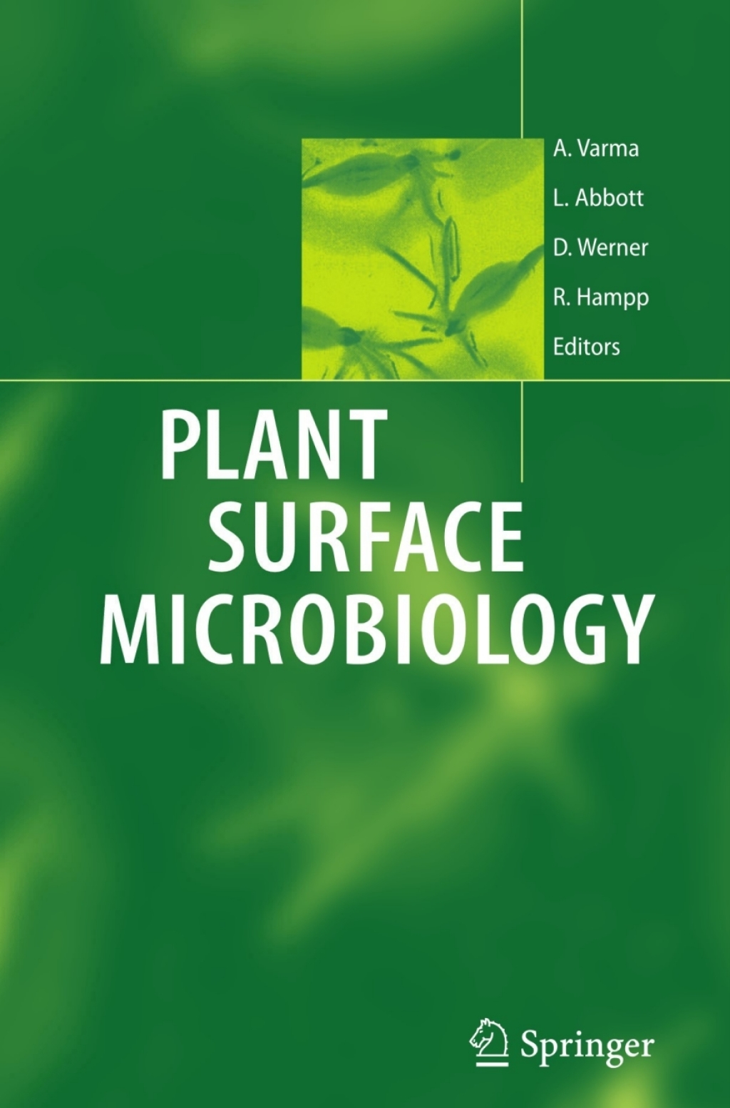 Plant Surface Microbiology 1st Edition
