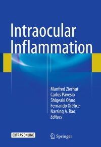Imagen de portada: Intraocular Inflammation 9783540753858