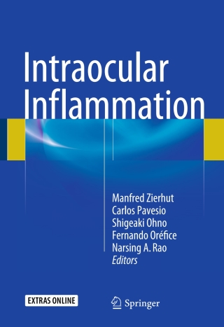 Cover image: Intraocular Inflammation 9783540753858