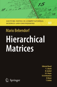 Imagen de portada: Hierarchical Matrices 9783540771463