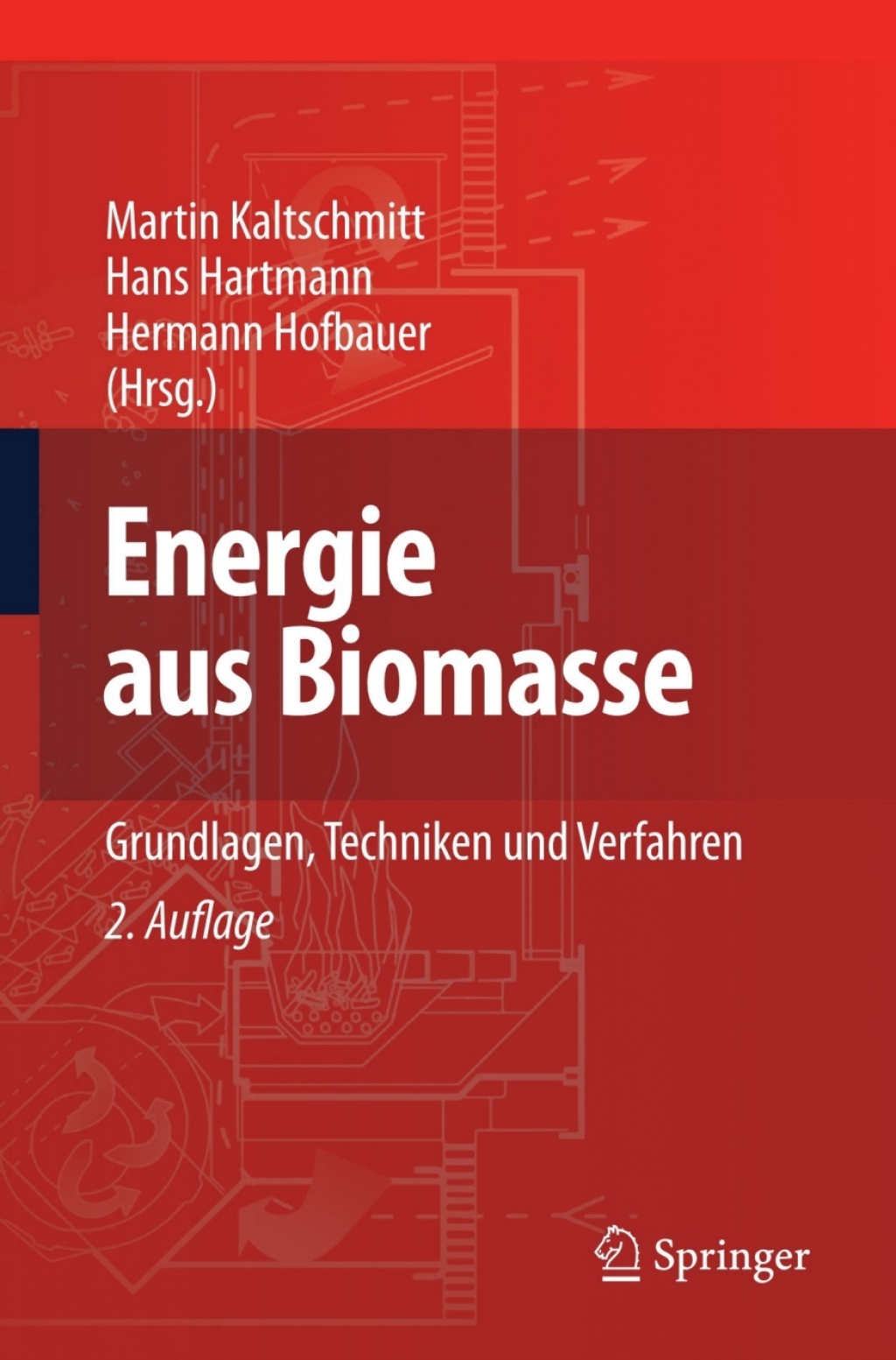 Energie aus Biomasse Grundlagen, Techniken und Verfahren 2nd Edition