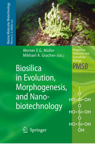 Omslagafbeelding: Biosilica in Evolution, Morphogenesis, and Nanobiotechnology 1st edition 9783540885511