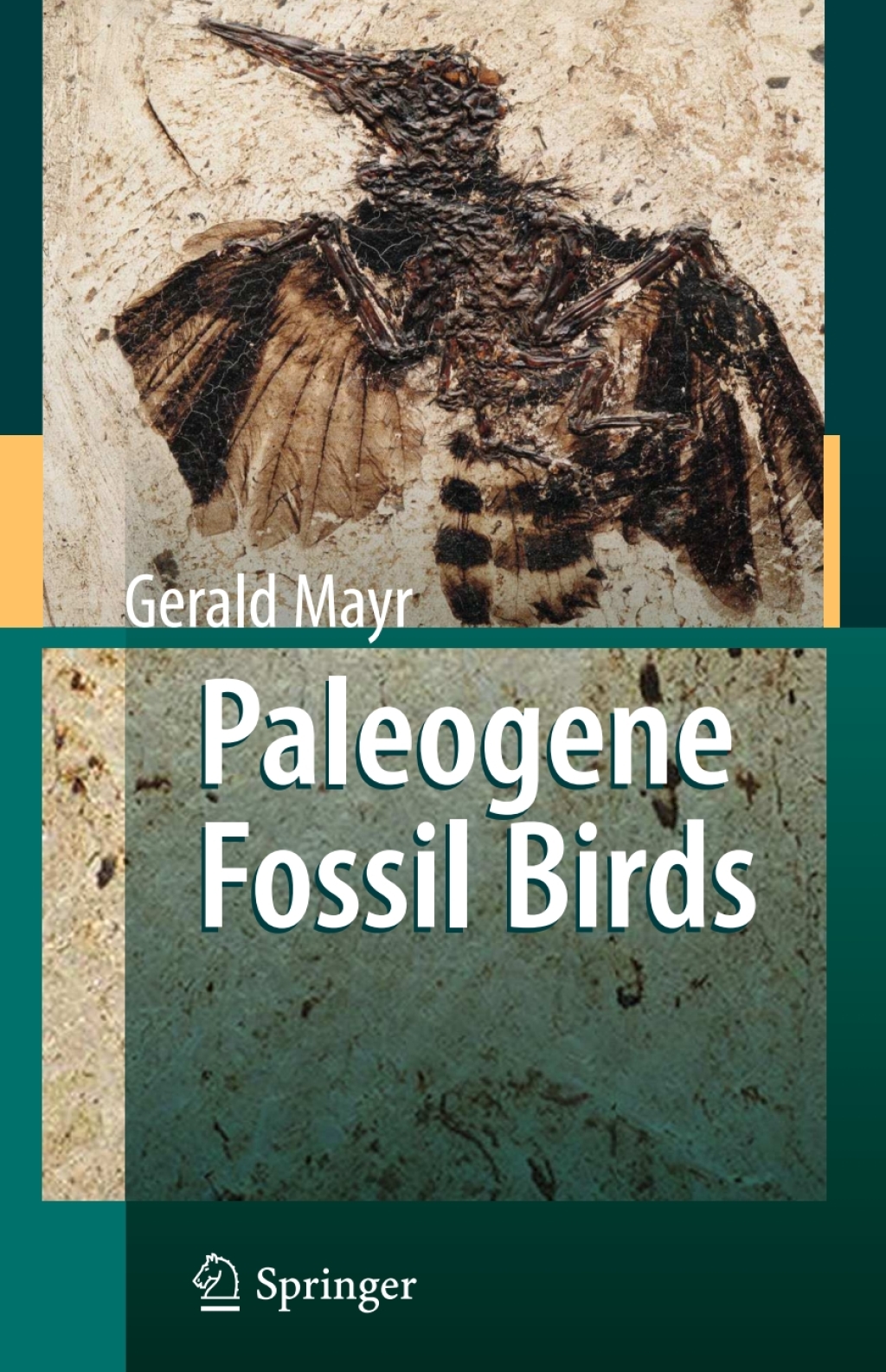 Paleogene Fossil Birds