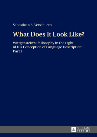 Omslagafbeelding: What Does It Look Like? 1st edition 9783631669419