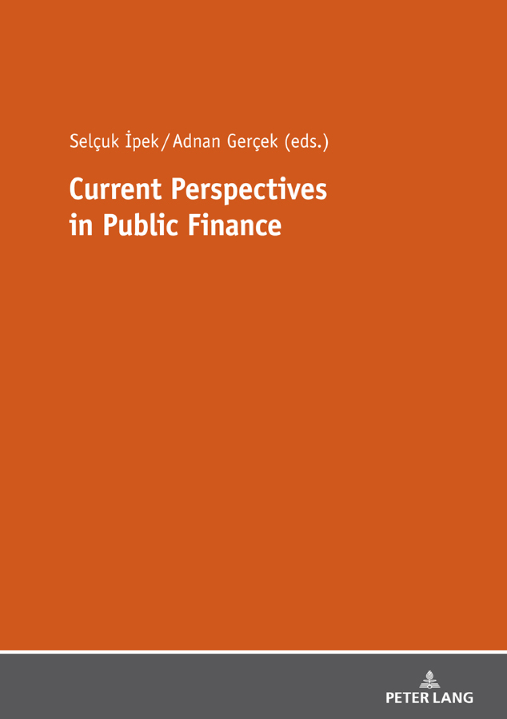 Current Perspectives in Public Finance 1st Edition