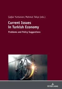 表紙画像: Current Issues in Turkish Economics 1st edition 9783631782798