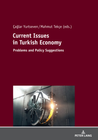 Omslagafbeelding: Current Issues in Turkish Economics 1st edition 9783631782798