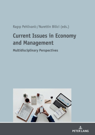Titelbild: Current Issues in Economy and Management 1st edition 9783631805541