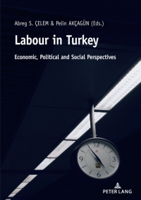Cover image: Labour in Turkey 1st edition 9783631815977