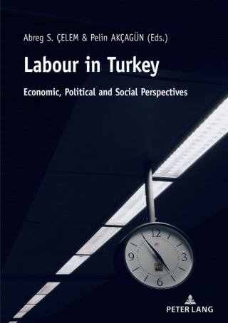 Imagen de portada: Labour in Turkey 1st edition 9783631815977