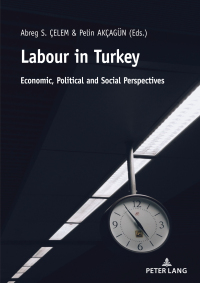 Cover image: Labour in Turkey 1st edition 9783631815977