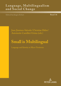 Cover image: Small is Multilingual 1st edition 9783631833414