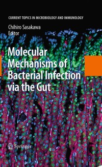 Immagine di copertina: Molecular Mechanisms of Bacterial Infection via the Gut 1st edition 9783642018466