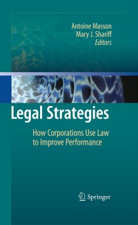 Cover image: Legal Strategies 1st edition 9783642021343