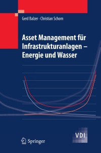 表紙画像: Asset Management für Infrastrukturanlagen - Energie und Wasser 9783642053917