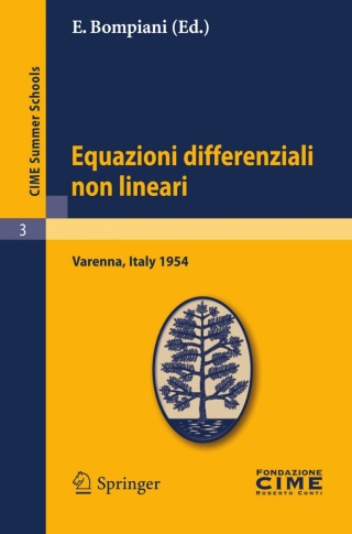 Cover image: Equazioni differenziali non lineari 1st edition 9783642108853