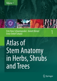 表紙画像: Atlas of Stem Anatomy in Herbs, Shrubs and Trees 9783642116377