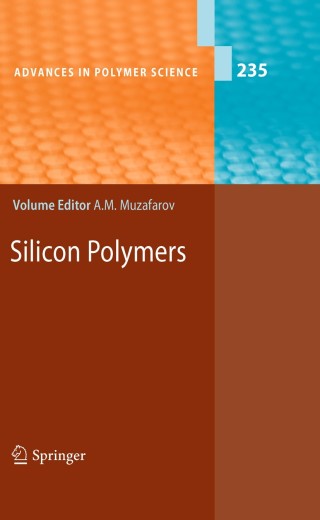 Imagen de portada: Silicon Polymers 1st edition 9783642160479