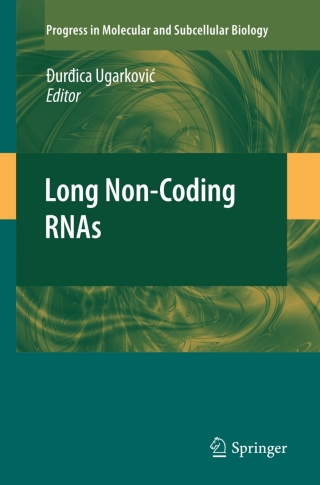 Titelbild: Long Non-Coding RNAs 9783642165016