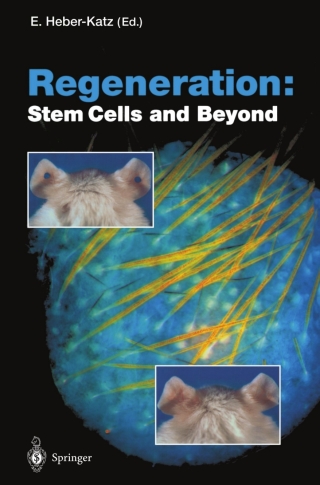 صورة الغلاف: Regeneration: Stem Cells and Beyond 1st edition 9783642188466