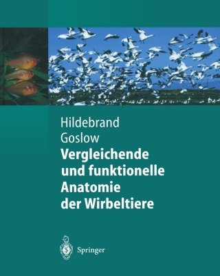 Titelbild: Vergleichende und funktionelle Anatomie der Wirbeltiere 9783642623752