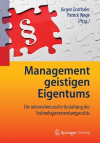 Cover image: Management geistigen Eigentums 9783642198397