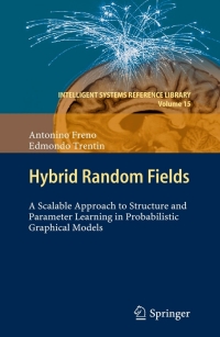 Imagen de portada: Hybrid Random Fields 9783642203077