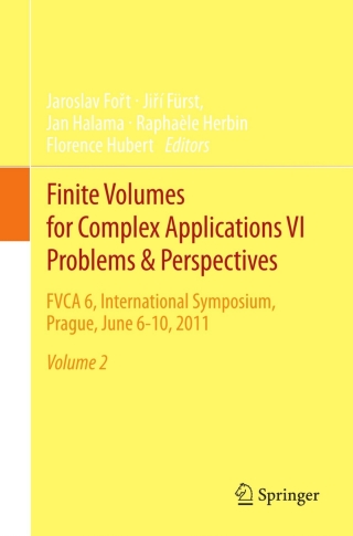 Imagen de portada: Finite Volumes for Complex Applications VI   Problems & Perspectives 1st edition 9783642206702