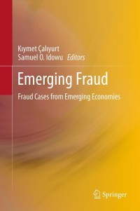 表紙画像: Emerging Fraud 1st edition 9783642208263