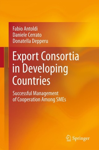 Omslagafbeelding: Export Consortia in Developing Countries 9783642438226