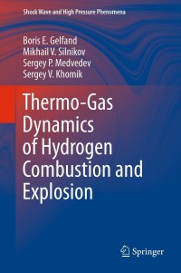 Imagen de portada: Thermo-Gas Dynamics of Hydrogen Combustion and Explosion 9783642253515