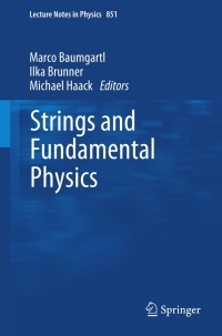 Cover image: Strings and Fundamental Physics 1st edition 9783642259463