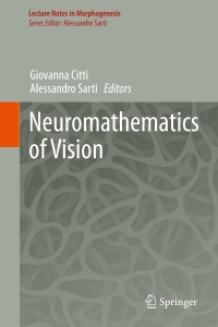 Imagen de portada: Neuromathematics of Vision 9783642344435