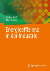 Cover image: Energieeffizienz in der Industrie 9783642365133