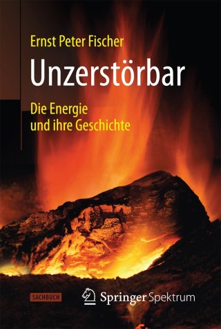 Cover image: Unzerstörbar 9783642377341
