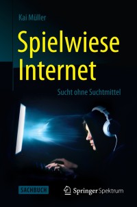 表紙画像: Spielwiese Internet 9783642380013