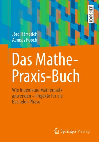 Cover image: Das Mathe-Praxis-Buch 9783642383052