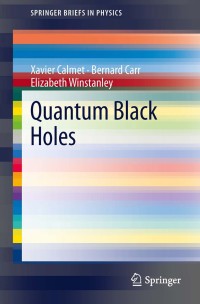 Immagine di copertina: Quantum Black Holes 9783642389382