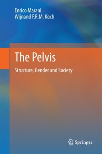 Cover image: The Pelvis 9783642400056