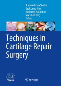 Cover image: Techniques in Cartilage Repair Surgery 9783642419201