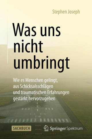 Cover image: Was uns nicht umbringt 9783642549731