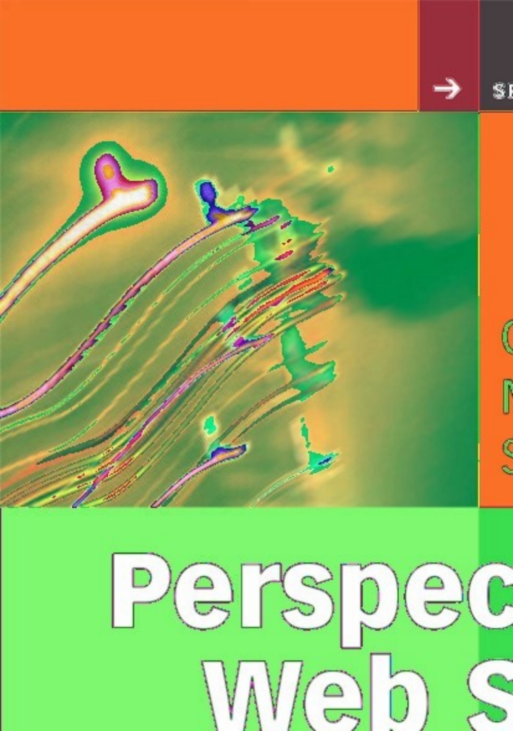 Perspectives on Web Services Applying SOAP, WSDL and UDDI to Real-World Projects